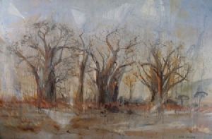 "Baobab Trees"
