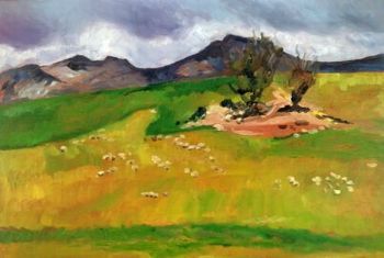 "Sheep in Caledon Fields"