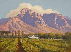 "Evening Shadows - Boschendal"