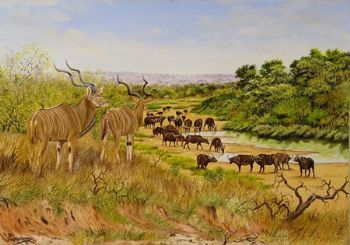 "Kudu and Buffalo"
