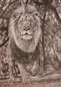 "King Judah"