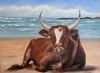 "Nguni on the Beach"