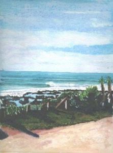 "View from Point Jeffreys Bay"