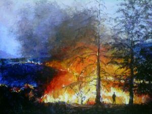 "Bushfire in Clarens"