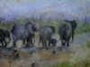 "Elephant"