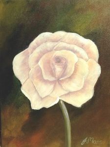 "Blooming Rose"