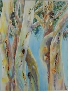 "Plett Gum Trees"