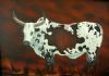 "Nguni Bull 4"