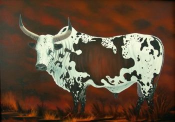 "Nguni Bull 4"