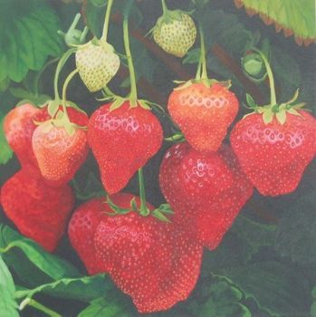 "Fraises de Bois"