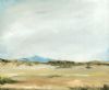 "Karoo Landscape"