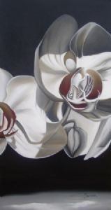 "Orchid 1"