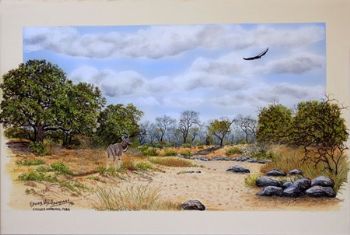 "Kruger Park Scene"