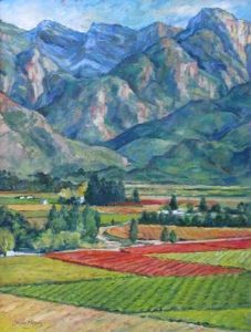 "Autumn Vineyards in Hex River Valley"