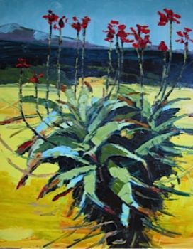 "Overberg July Aloe Canola nr 1"