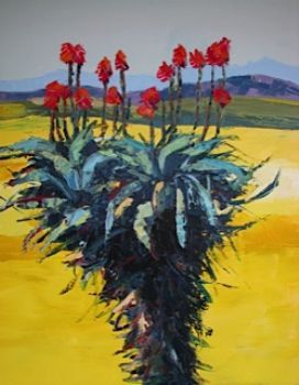 "Overberg July Aloe Canola nr2"