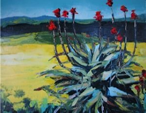 "Overberg July Aloe Canola Nr 4"