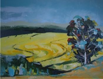 "Overberg July Bloekom Canola"