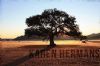 "Namibia #01"