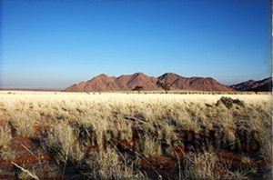 "Namibia #05"