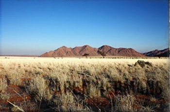 "Namibia #05"