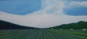 "Lavender Field"
