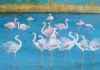 "Flamingoes"