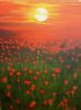 "Poppy Field"