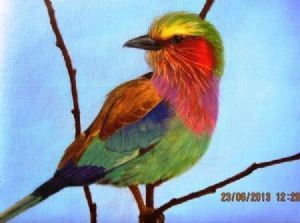 "Lilac-Breasted Roller"