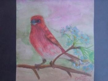 "Red Bird"