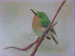 "Fluffy Bird"