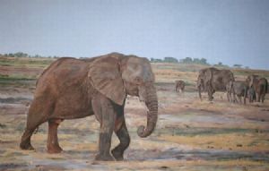 "Chobe Elephant"