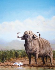"Cape Buffalo and Egret"
