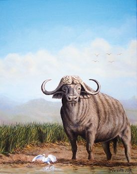 "Cape Buffalo and Egret"