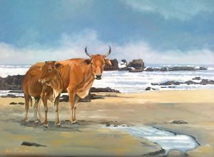 "Wild Coast Cattle"