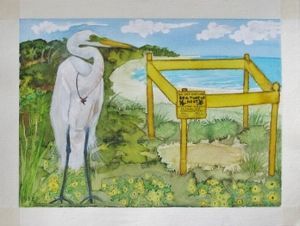 "11 Egret guards Mrs Turtle's nest"