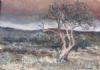 "Small Autumn Tree"