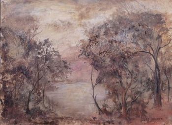 "Misty Brown Trees"
