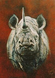 "Rhino"