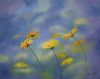 "Daisies in the Mist"