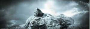 "Lion Lying on Rock"