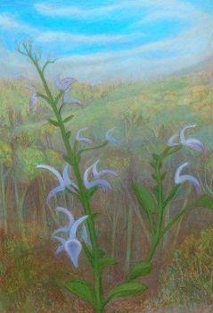 "The Edge of the Forest Panel - 1"