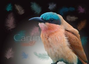 "Carmine Bee-Eater"