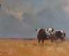 "Nguni 4"