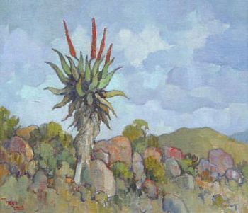 "Solitary Aloe little Karoo"