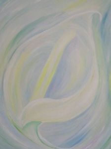 "Arum Lily"