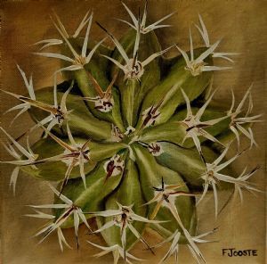 "succulant2"