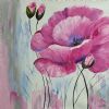 "Pink Poppy Flowers"