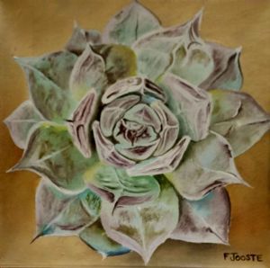 "Succulant 4"