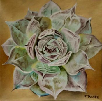 "Succulant 4"